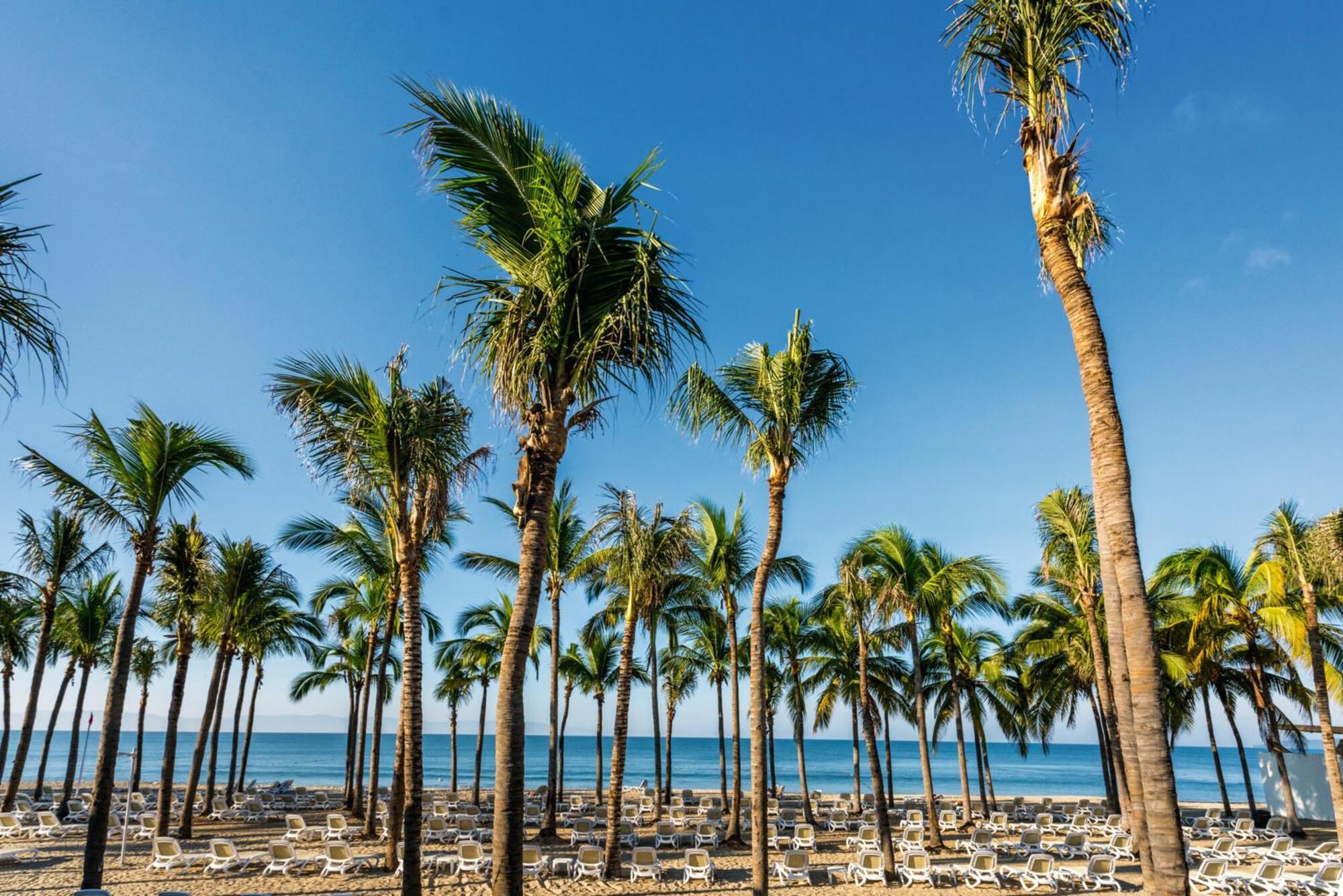 Riu Vallarta Nuevo Vallarta Exteriér fotografie